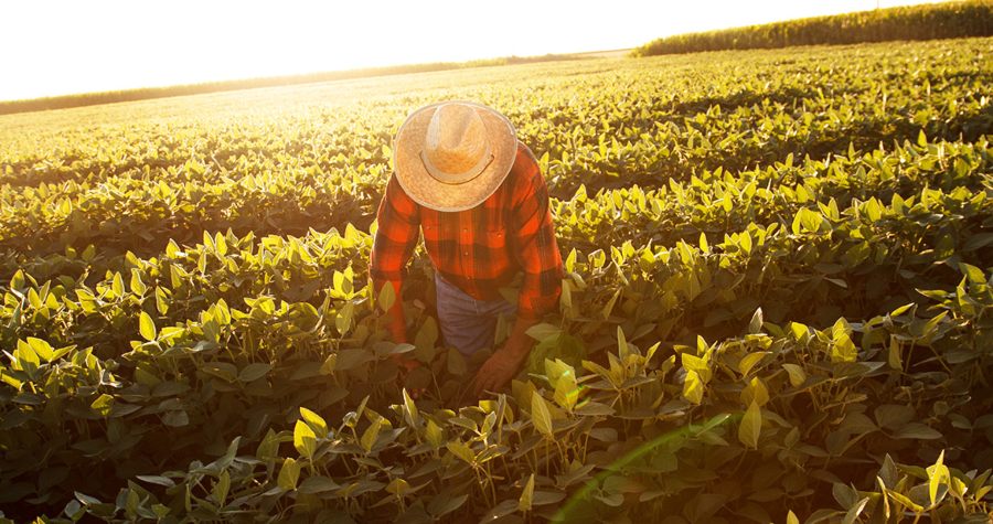 Farm worker