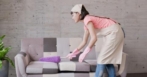 Domestic helper