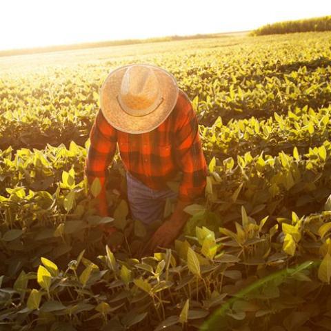 Farm worker